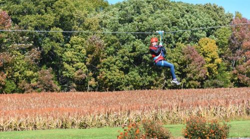 A person in a helmet zip-lining over a field with colorful trees in the background on a sunny day.