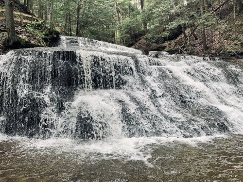 A serene waterfall cascading over rocky steps, surrounded by lush green trees in a tranquil forest setting.