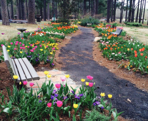 A winding path through a vibrant flower garden with colorful tulips and benches on either side, surrounded by trees.