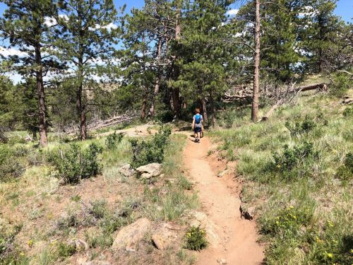 A child walks along a dirt trail surrounded by trees and greenery on a sunny day.