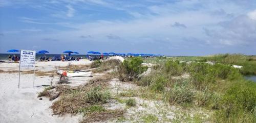 A sandy beach with blue umbrellas in the background, a sign for rentals, and sparse vegetation in the foreground.