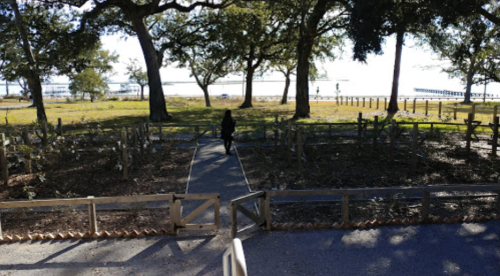 A person walks along a path through a garden, with trees and a waterfront visible in the background.