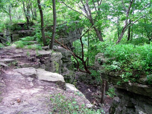 Rocky terrain surrounded by lush green trees and foliage, with a steep drop-off in a natural setting.