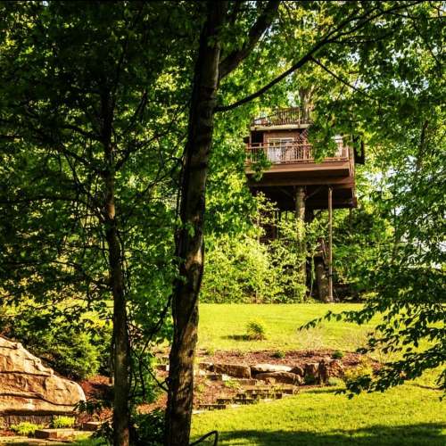 A treehouse perched among lush green trees, surrounded by a grassy area and rocky landscaping.