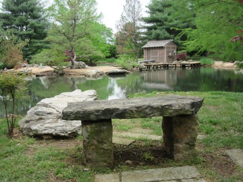 A stone bench overlooks a serene pond surrounded by lush greenery and a small wooden structure in the background.
