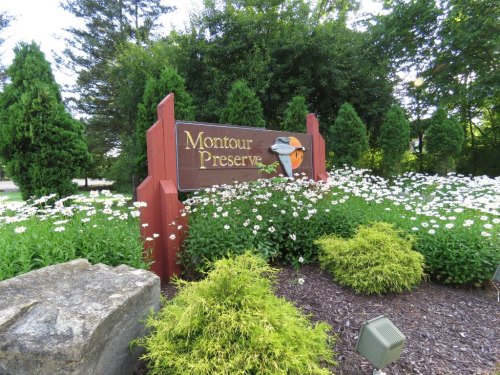 Sign for Montour Preserve surrounded by white flowers and green shrubs, with trees in the background.