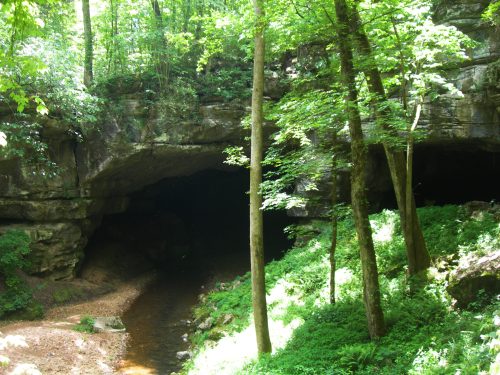 A lush forest scene with a cave entrance, surrounded by trees and a small stream flowing nearby.