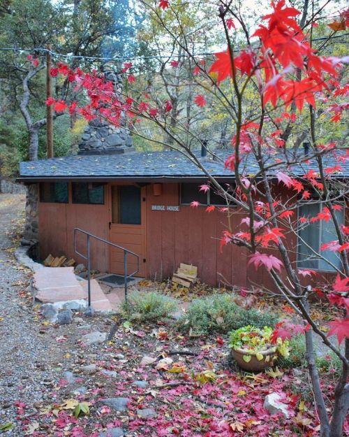 A cozy cabin named "Bridge House" surrounded by autumn leaves and a scenic pathway.