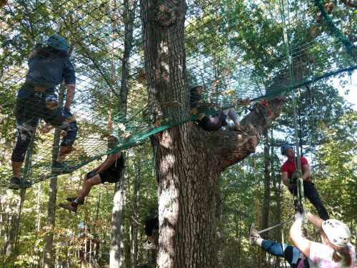 A group of people climbing and navigating a net structure in a forested area, surrounded by trees.