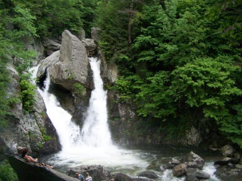 A serene waterfall cascades over rocks, surrounded by lush green trees and a rocky riverbank.