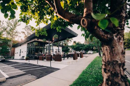A modern café with large windows, outdoor seating, and greenery, set in a suburban area with parked cars nearby.