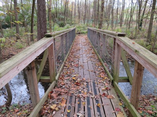 A wooden bridge covered in autumn leaves spans a small stream, surrounded by trees in a peaceful forest setting.