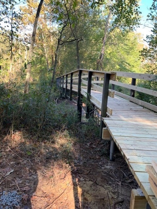 A wooden boardwalk winds through a wooded area, surrounded by trees and greenery under a clear blue sky.