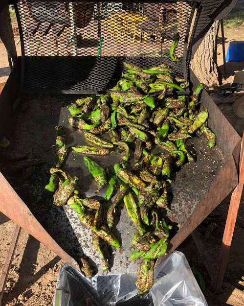 A metal grill filled with roasted green peppers, some charred, resting on a sunny outdoor setting.