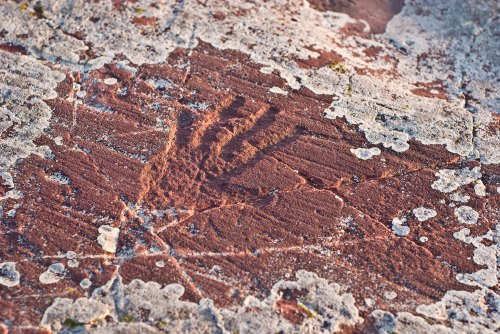 Petroglyph of a handprint on a textured rock surface, surrounded by natural patterns and lichen.