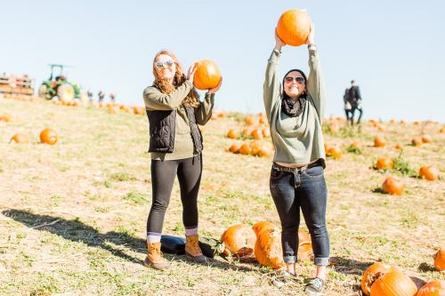 Two women hold up pumpkins on a sunny day in a pumpkin patch, surrounded by scattered pumpkins on the ground.