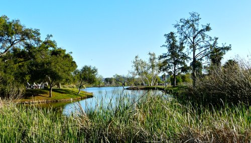 A serene park scene featuring a calm lake surrounded by lush greenery and trees under a clear blue sky.