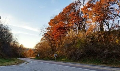 Curving road lined with trees displaying vibrant autumn foliage under a clear blue sky.