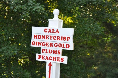 Signpost displaying various apple and fruit varieties: Gala, Honeycrisp, Ginger Gold, Plums, and Peaches.