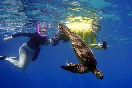 Two snorkelers swim underwater with a sea turtle in a clear blue ocean.