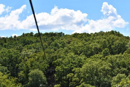 A view of lush green trees under a bright blue sky with fluffy clouds, seen from a zip line perspective.