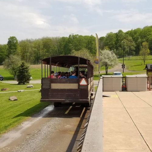 A tram filled with passengers travels along a path in a green park on a sunny day.
