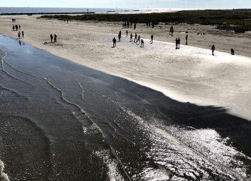 A beach scene with people walking along the shore, reflecting sunlight on the water and gentle waves lapping at the sand.