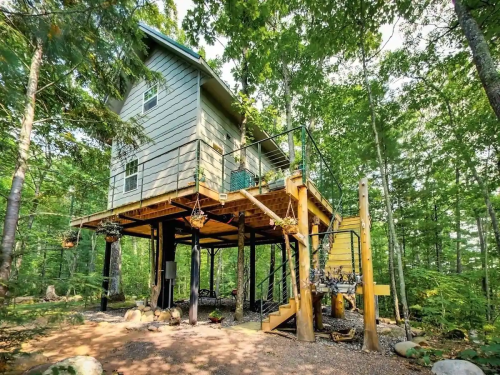 A treehouse-style cabin elevated on stilts, surrounded by lush green trees and a gravel path.