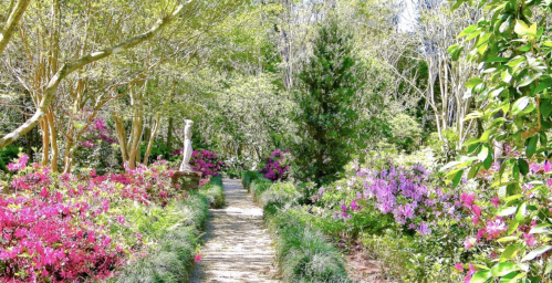 A serene garden path lined with vibrant pink and purple flowers, surrounded by lush greenery and trees.