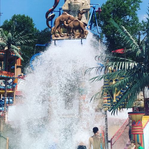 A water park scene featuring a large water feature with a splash, surrounded by tropical decorations and palm trees.