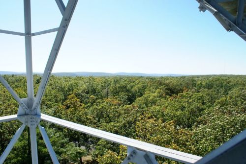 View from a tower overlooking a vast expanse of green trees and distant hills under a clear blue sky.
