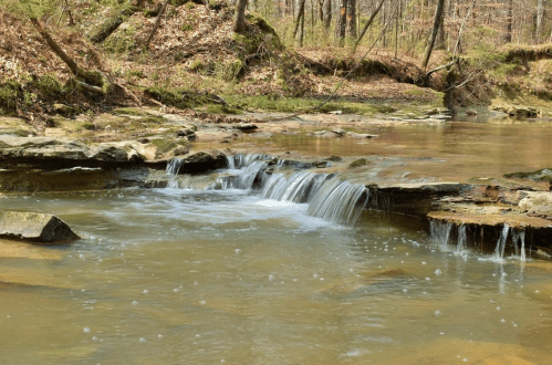 A serene stream flows over rocky ledges in a wooded area, surrounded by trees and fallen leaves.