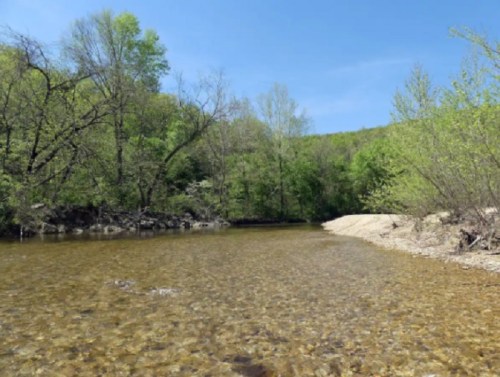 A serene river scene with clear water, surrounded by lush green trees and a sandy bank under a blue sky.