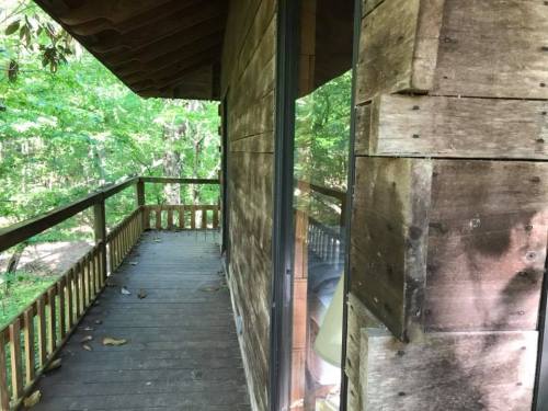 Wooden cabin exterior with a porch surrounded by lush green trees. Sunlight filters through the leaves.