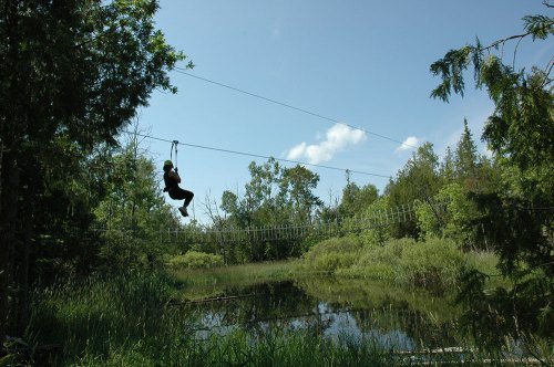 A person zip-lining over a pond, surrounded by lush greenery and trees under a clear blue sky.