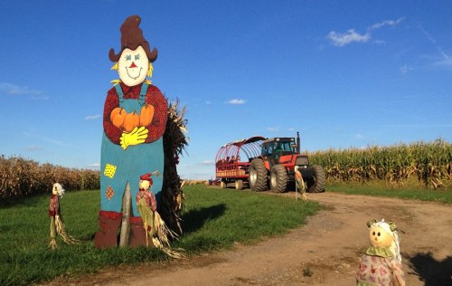 A colorful scarecrow stands beside a dirt path, with a tractor and cornfield in the background under a clear blue sky.