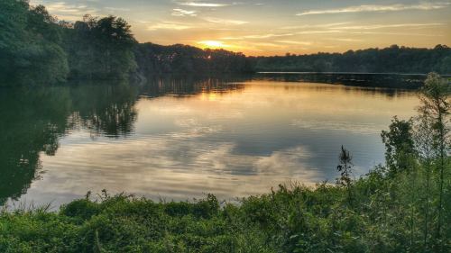 Sunset over a calm lake, reflecting trees and clouds, with lush greenery in the foreground.