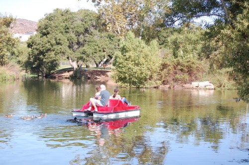 A couple enjoys a leisurely ride on a red paddle boat in a serene pond surrounded by trees and ducks.