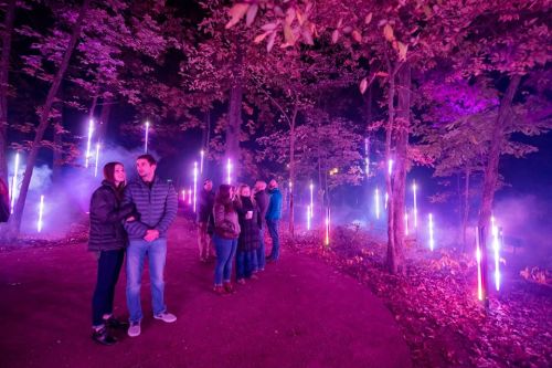 A group of people stands in a forest illuminated by purple lights, surrounded by fog and autumn foliage.