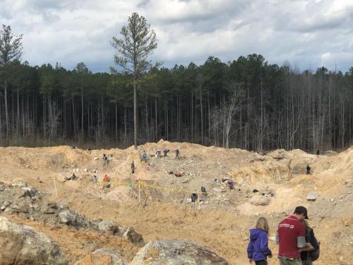 A group of people excavating a large, sandy area surrounded by trees, with some digging and others observing.