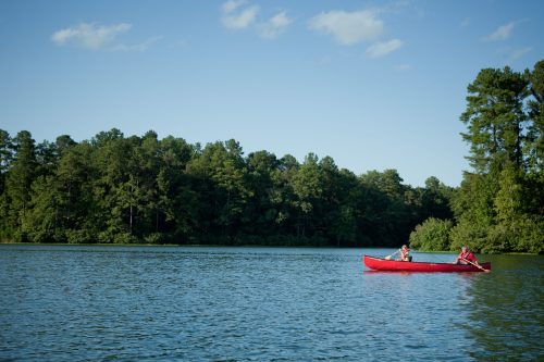 Two people paddle a red canoe on a calm lake surrounded by lush green trees under a clear blue sky.