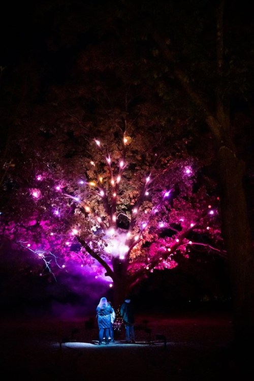 A brightly lit tree with colorful lights and fog, two people stand nearby, enjoying the nighttime display.