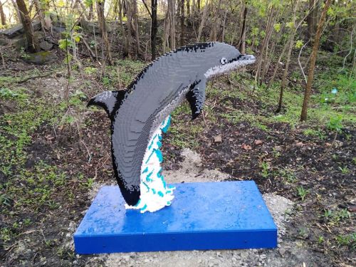 A colorful LEGO sculpture of a dolphin leaping over blue waves, set in a natural outdoor environment.