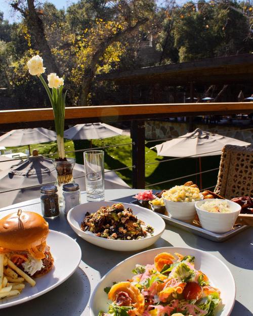 A table with a burger, fries, salads, and sides, set outdoors with umbrellas and greenery in the background.