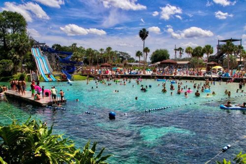 A busy water park scene with people swimming, slides, and palm trees under a bright blue sky.