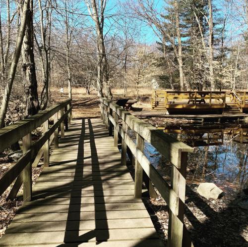 A wooden bridge over a calm pond, surrounded by bare trees and a clear blue sky.