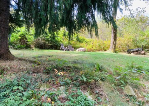 A serene garden scene with green grass, a few wooden chairs, and trees in the background.