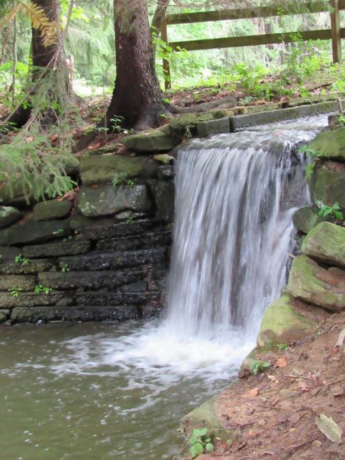 A small waterfall cascades over stone steps into a serene pond, surrounded by lush greenery and trees.