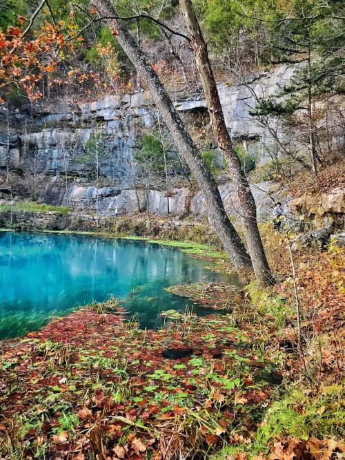 A serene pond surrounded by rocky cliffs and trees, with colorful autumn leaves floating on the water's surface.