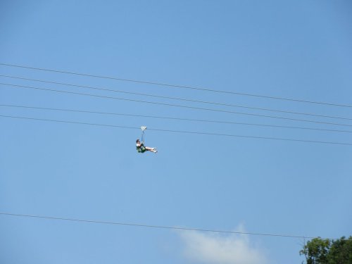 A person zip-lining across a clear blue sky, suspended above power lines and greenery below.